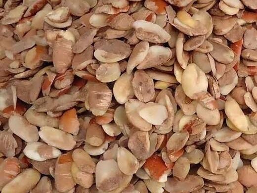 Seeds used for ogbono soup